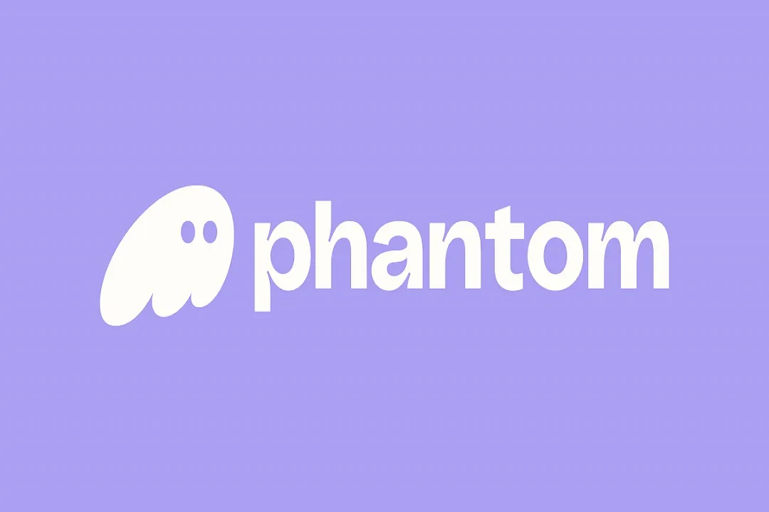 کاربران می‌توانند با اتصال کیف پول‌های سازگار مانند Phantom به ریدیوم، به صورت مستقیم و بدون واسطه به انجام معاملات بپردازند.