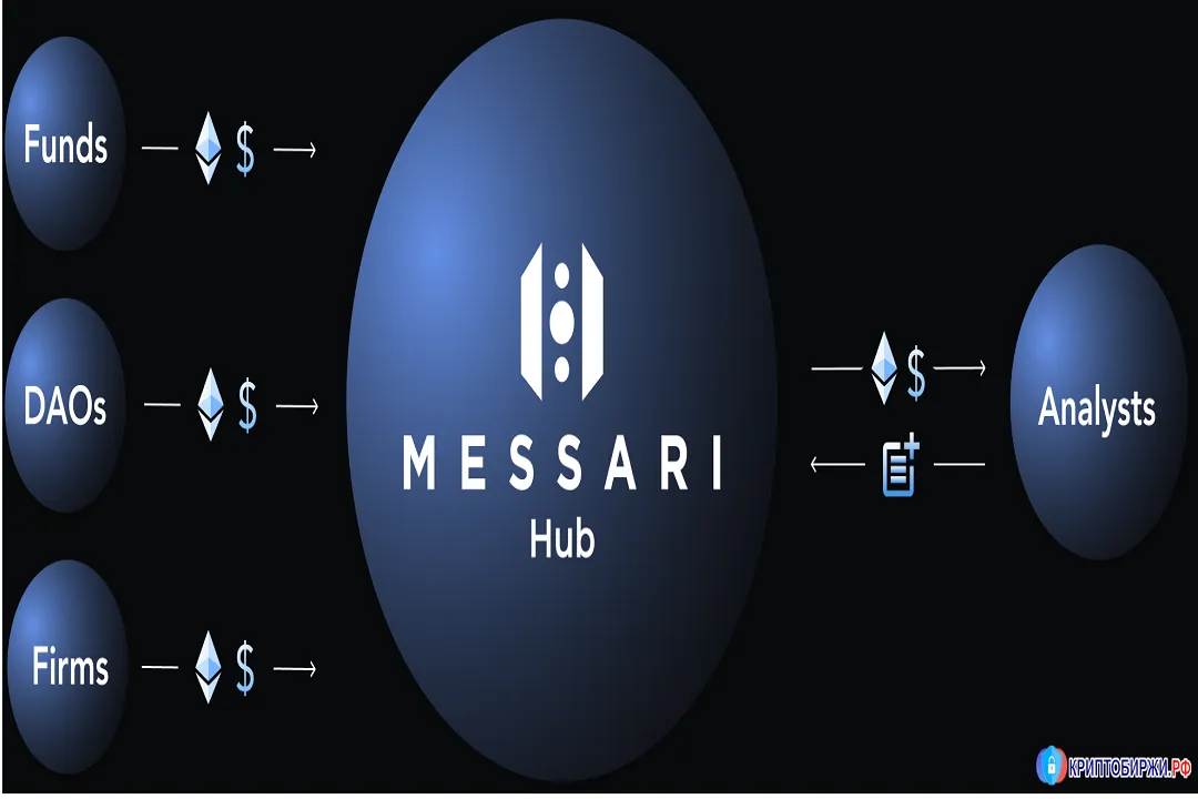 مساری همچنین دارای بخشی به نام مساری هاب (Messari Hub) است که در آن کاربران می‌توانند به پروژه‌های مختلف دسترسی پیدا کنند